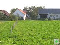 thn_Troubelice 2006 100.jpg